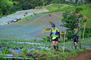 BIB: 8150
                            <button type="button" onclick="openModal(13380038)" class="btn btn-primary btn-sm float-right btn-popup" data-toggle="modal" data-target=".modal-high-quality">
                        <i class="fas fa-shopping-cart"></i> Add to Cart
                    </button>
                                            <button type="button" onclick="isThisMe(13380038, true)" class="btn btn-success btn-sm float-right btn-popup btn-isme hidden" data-toggle="tooltip" data-placement="bottom" title="นี่คือรูปของคุณใช่ไหม คลิกที่นี่เพื่อเอาเข้าอัลบั้ม">
                        <i class="fas fa-plus"></i> Add to album
                    </button>
                    <button type="button" onclick="isThisMe(13380038, false)" class="btn btn-warning btn-sm float-right btn-popup btn-isnotme hidden">
                        <i class="fas fa-ban"></i> Remove from album
                    </button>